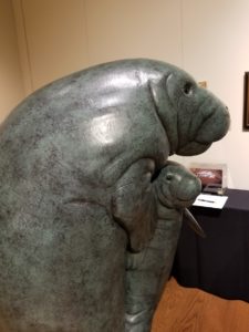 Manatee sculpture at UC South Denver campus - there for a Parker Area Chamber of Commerce event.