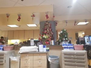 The view in front of me. Holiday music was in the air for the first few hours. Then I think the nurses got tired of the repeats so it was switched to pop.
