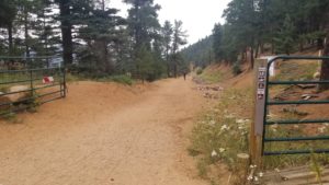 View of a red/brown dirt/crushed rock road with evergreen trees on either side, and an open green metal gate.