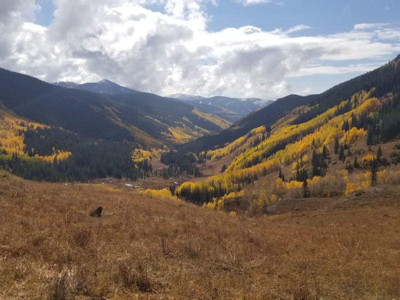 view of mountain valley with golden fall colors